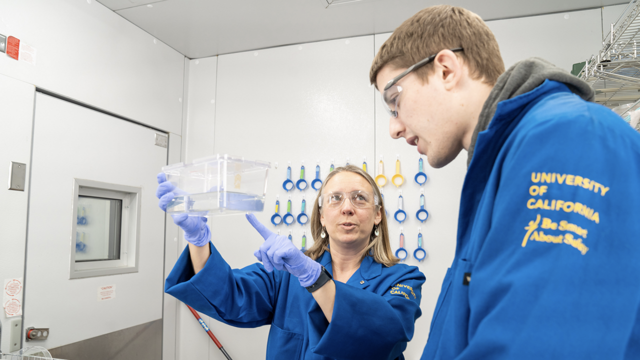 two scientists in blue coats