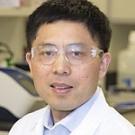 Yang K. Xiang headshot