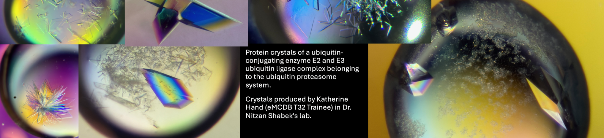 protein crystals 2